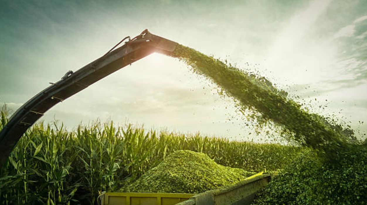 BONSILAGE FIT G преобразует сахар в ценный пропиленгликоль