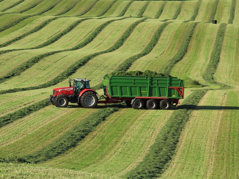 BONSILAGE — для улучшения качества протеина и повышения производительности грубого корма